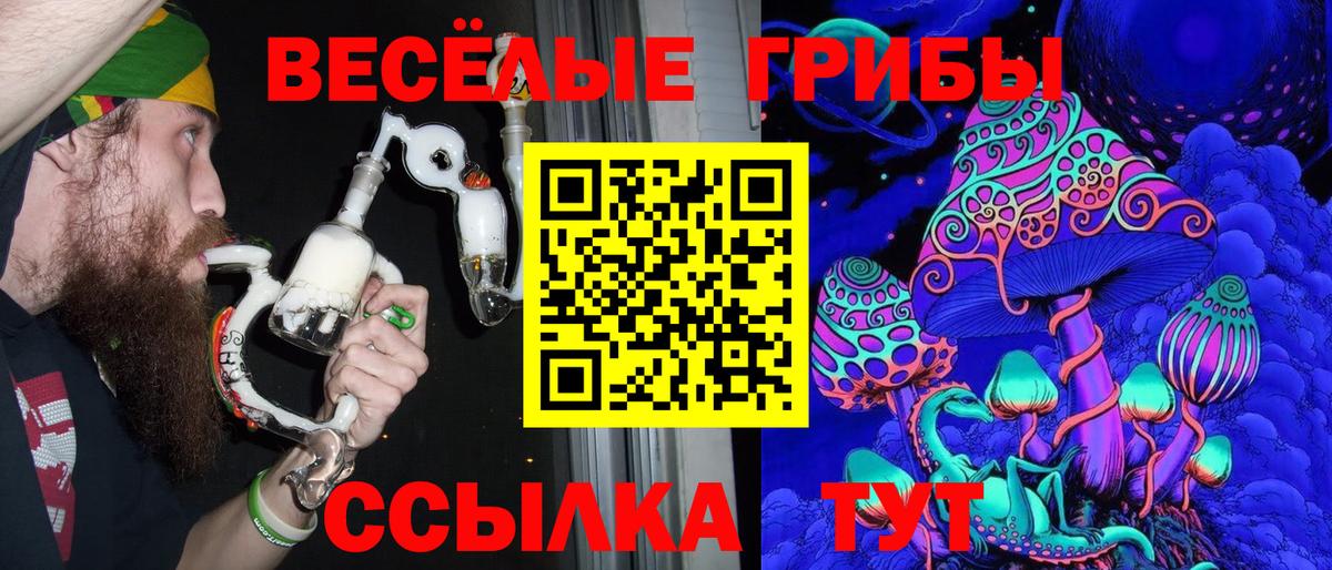Тимашёвск  Галлюциногенные грибы прущие грибы  Вход с VPN 